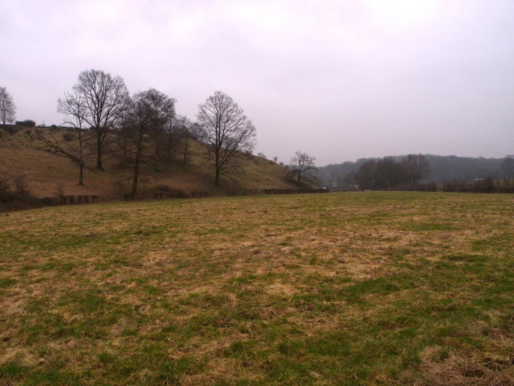 Cozy With A Dishwasher, On The Bemelerberg